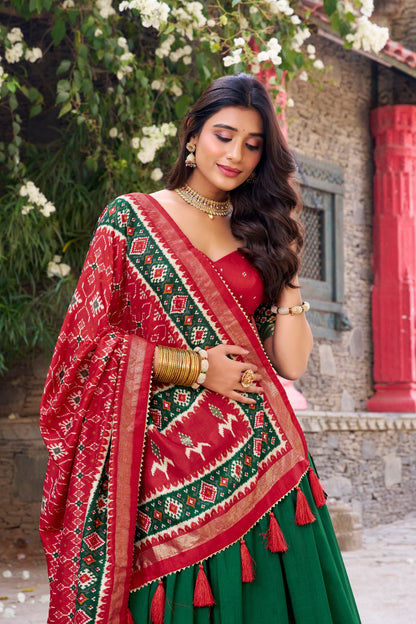 Wedding Special Patola Choli