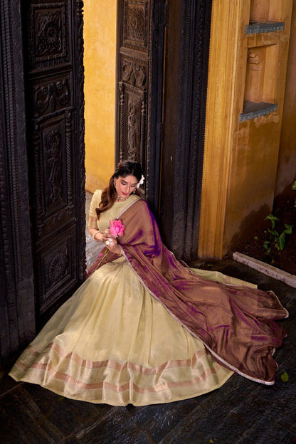 South Indian Style Lehenga Choli