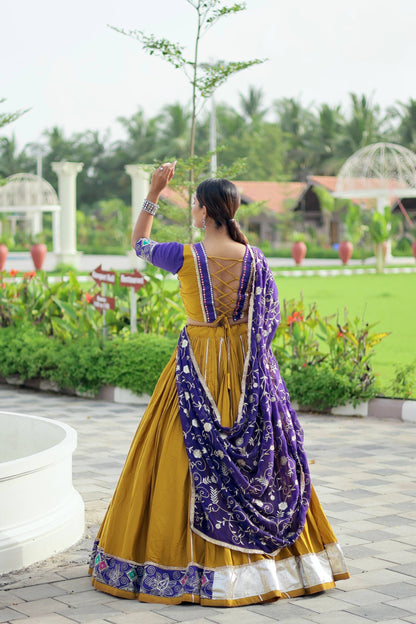 Navratri Garba Special Choli