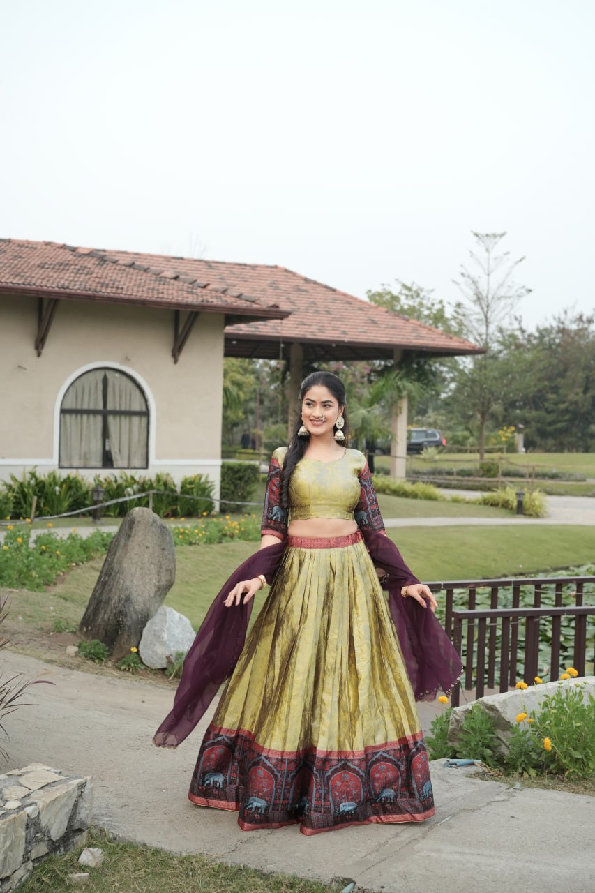 Silk Traditional Lehenga Choli