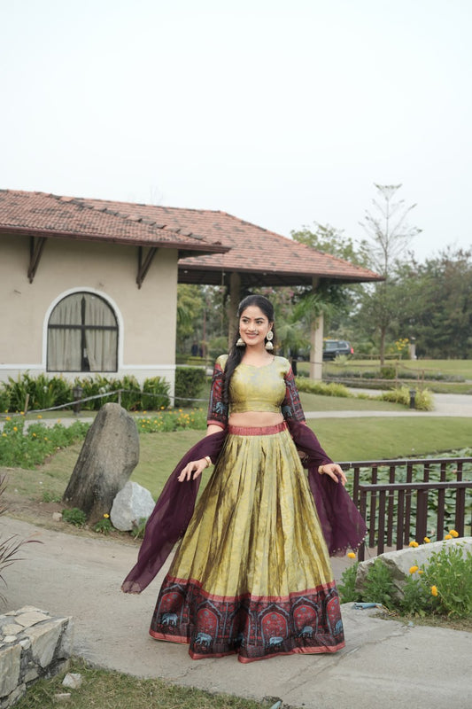 Silk Traditional Lehenga Choli