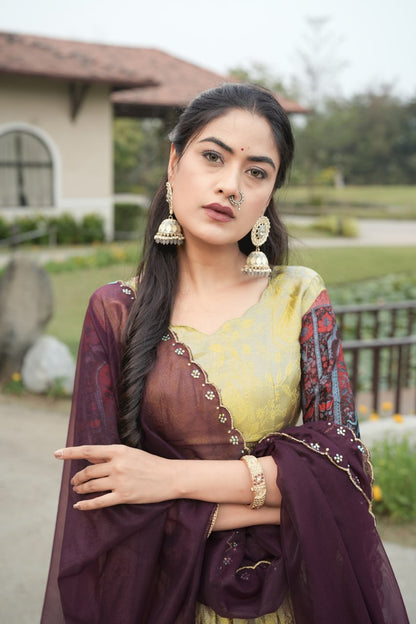 Silk Traditional Lehenga Choli