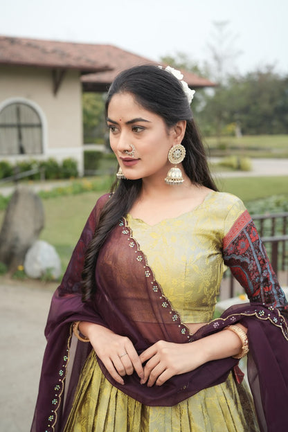 Silk Traditional Lehenga Choli