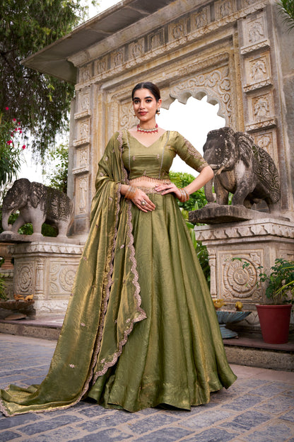 Fendy Lehenga Choli