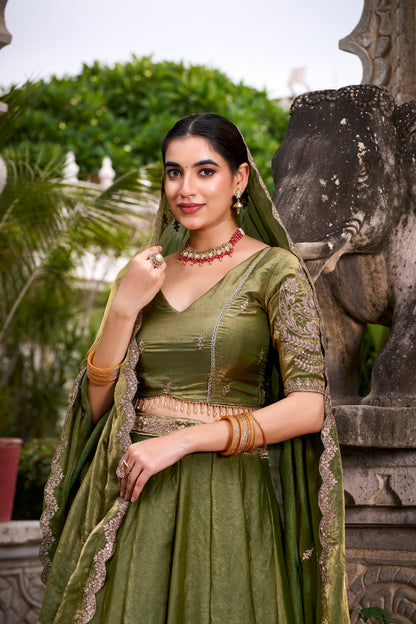 Fendy Lehenga Choli