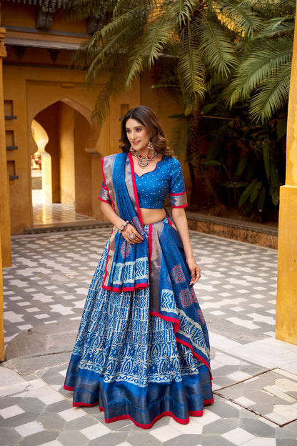 Dola Silk Lehenga Choli