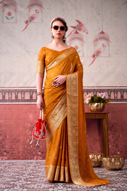 Chinon Saree
