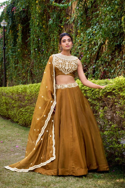 Wedding Special Lehenga