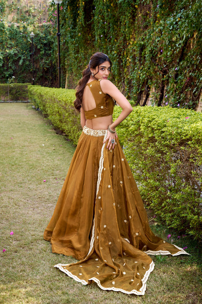 Wedding Special Lehenga