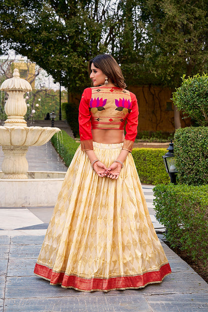 Paithani Duo - Croptop With Lehenga