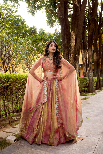 Carika Silk Lehenga Choli