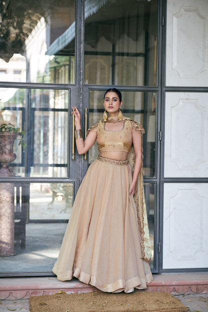 Fendy Silk Lehenga Choli