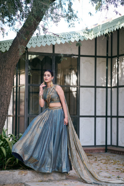 Fendy Silk Lehenga Choli
