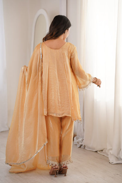 Fendy Mirror Work Kurti Pair