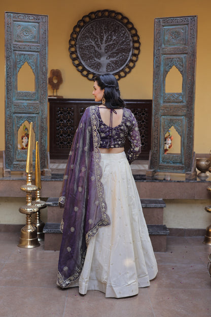 Cosmos Lehenga Choli