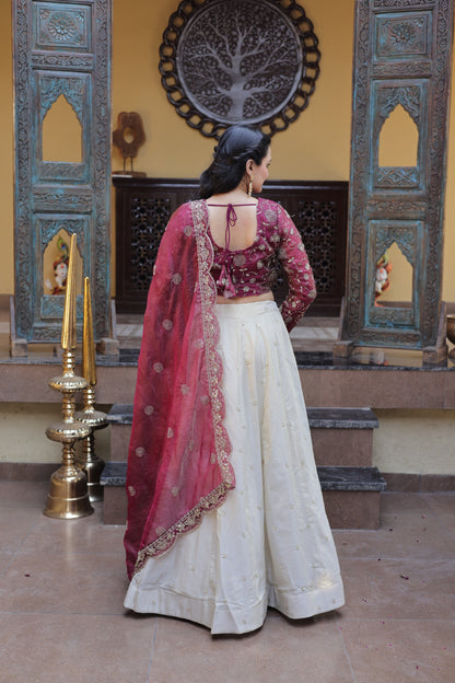 Cosmos Lehenga Choli