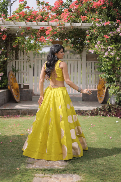 Navratri Festive Outfit